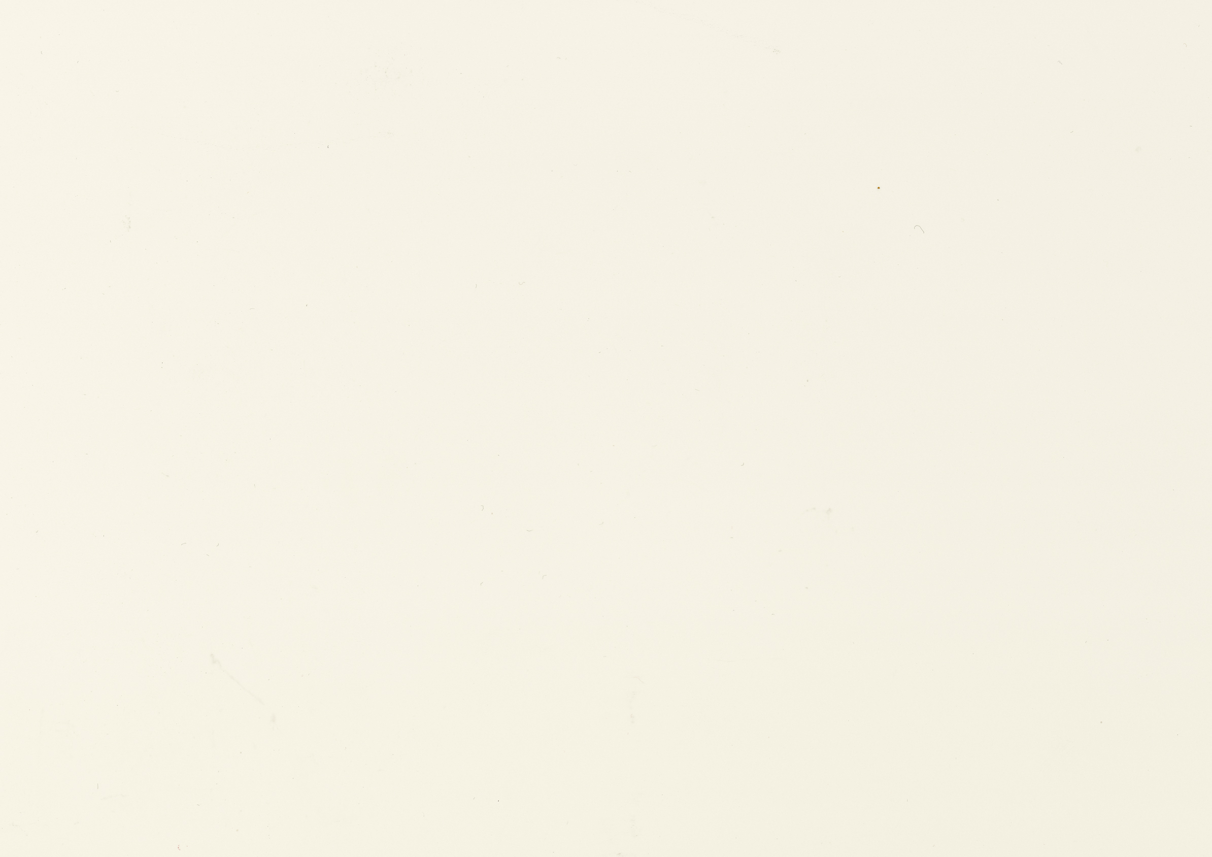 2019_sotheb texture 1201_ipad Pro3 11.jpg